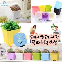 미니 사각 화분 3개 소 대 사이즈 반려식물 작은 다육이 플라스틱 화분 책상 좁은공간 베란다 어린이집 유치원 화분만들기, 핑크 3개