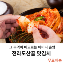 전라도 산골 맛김치 5kg 10kg, 1개