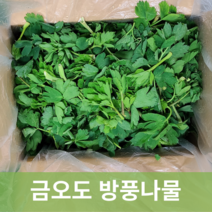 [신진농산] 여수 금오도 햇 방풍나물 8kg