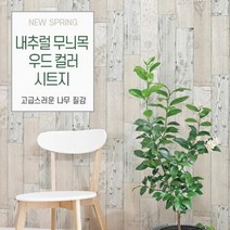 [바보사랑] 새봄 내추럴 무늬목 우드 컬러시트지 (100cm x 100cm), 모델:01HPW_22702아이보리(크림화이트)우드