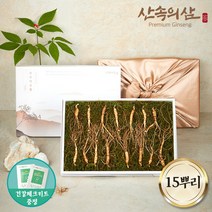 6~10년근 국내산 산양삼 산삼 산양산삼 장뇌삼 장뇌산삼, 6년근 실속형 15뿌리 (1상자)