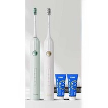 전동 칫솔 추천 진동 자동 치석 가성비 상쾌한 청결, (클라우드그레이-클래식)(브러시헤드2개)