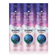 [B1P] 히말라야 핑크솔트 담은 치약 100g 3P _ 엘지치약 양치 도매 치약도매 ( B1P / 83889EA ), 1, 본상품선택