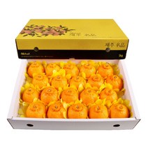 농장직송 고당도 한라봉 3kg 5kg 10kg 꼬마한라봉, 1박스, 한라봉 5kg 중(19~23과)