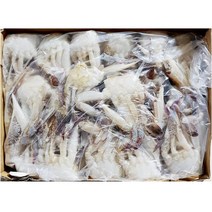 해원 냉동 절단꽃게 S 450g 가정 식당 업소 식자재 식재료