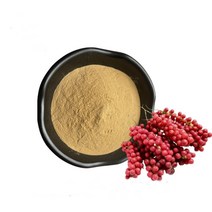 오미자추출분말 100g 샘플, 단품, 단품