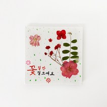 캔버스 압화 액자 만들기 -4인용 초등학생 미술 놀이 돌봄교실 DIY 키트