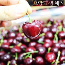 고당도 미국산 항공직수입 생체리 햇체리 500g 1kg 2kg 5kg 제철, 500g(과당 9.5~10Row내외)