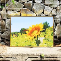 해바라기 현관에걸면좋은 합격운 풍수인테리어 집에걸면좋은 생기 명당도 오감 돈버는그림 액자, 4번 매트클래식 - 옐로우골드, 1번 해바라기