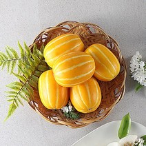지안농산 당도보장 산지직송 알뜰 성주 꿀참외 실중량 10kg, 1box, 알뜰 꿀참외 10kg(소과)