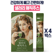 샐러리주스 몸신쥬스 건강 뷰티 면역 잘빠지는 클렌징 클렌즈 주스, 2.5g, 4박스
