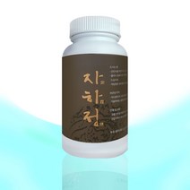 자하정 생식환 음양오행생식요법 자하생식, 300g, 1개