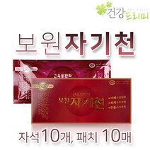 보원 자기천 2000 자석10개입 의료용자기발생기 자석파스