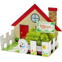 상아사이언스 SA 공기청정 스칸디아모스 정원 5인 세트 이끼