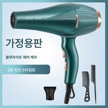 전기 드라이기 가정용 대풍 음이온 헤어 케어 무음 미용실 전용 고출력 속건 남성 드라이기, 녹색가구스타일블루라이트음이온헤어케어구매시