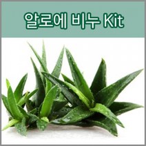 허브플로라 MP 비누만들기 키트, 알로에 비누 키트
