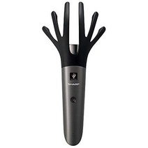 샤프 플라즈마 클러스터 이온 발생 두피 케어 전용기 에스테틱 블랙 IB-JZ5K-B, EMS(발송 후 약 3~5 일 도착)