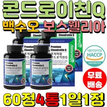 상어연골 녹여먹는고형차 백수오 미국 어골칼슘 콘드로이친Q 뼈 주부 HACCP 직장인 분말 프리미엄 여성 부모님 60정4통 요구르트맛 보스웰리아 연골