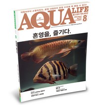 아쿠아라이프 2023년 8월호 _ 혼영을 즐기다