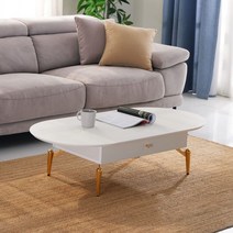 누보엘라 세라비 수납형 거실테이블 3size, 화이트, 화이트