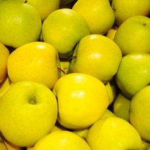 시나노골드 황금사과 노란사과 2kg 3kg 5kg, 1박스, (가정용-못난이) 소꼬마과 19-21과 3kg