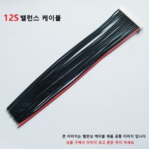 30cm 12S JST XH 커넥터 밸런스 와이어 케이블