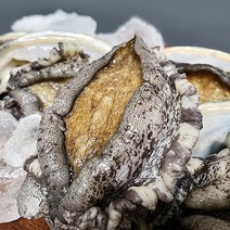 바다농장 완도전복 9~10마리 (700g내외), 1개, 700g내외
