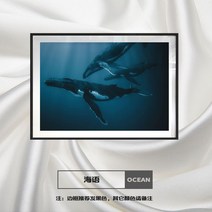 우영우고래그림액자 이상한변호사고래액자 거실 침실 공부방 사무실 인테리어 유화, H  40x60 유리 캔버스 블랙 프레임