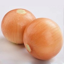 맛있는양파 20kg 강원도햇양파 국내산양파, 상