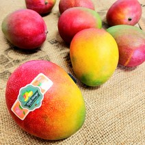 항공 스위트 애플망고 페루망고 태국망고 밀크 애플 망고 선물세트, 1.4Kg(3수)