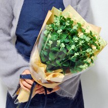 플로랄벨로 그린플라워 유칼립투스 블랙잭 꽃다발