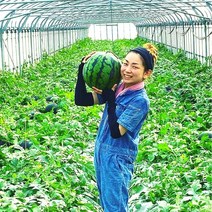 [꿈을뜨는언니] 새벽수확 아삭아삭 풍부한 과즙 수분가득 당도최고 고당도 하우스수박 꿀수박, 02) 수분가득꿀수박 5kg 이하