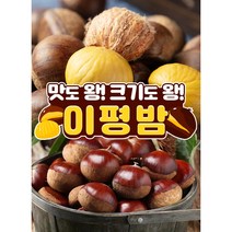 생으로 먹어도 달콤한 이평밤, 2kg