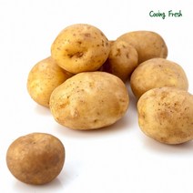 2023년 수확 국내산 감자 햇감자 수미감자 타박감자 강원도감자 3kg 5kg 10kg, 특사이즈(찜/요리용)
