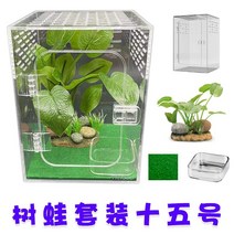 아크릴 사육장 도마뱀 붙이류 크레스티드게코 파충류 크레 용품 궁전 거대한 수목 를 지키는 할아버지 나무 속눈썹의 등반 수직 버전, 15호 청개구리 세트