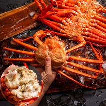 속초 자숙홍게 3kg 22년 11월제철 동해안 산지직송 경북 포항 강원도 속초 시세 찐홍게 주문 택배 배송 수율좋은 싱싱한 품질좋은 살이꽉찬 자연산 홍게찜, 명품고급형 8~10마리 내외 (약 3kg)