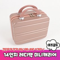 핑크 레디백 비박 캐리어 기내식캐리어 1박2일 캠핑 가방 피크닉 백