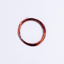 5P 0.3mm 에나멜선 코일 전자석 전동기 실험 전기전자 키트 체험 제작 만들기 실험실 학습 창작 학교