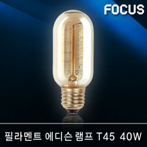 포커스 인테리어 LED 램프 벌브 볼전구 에디슨 파30 MR16 삼파장 할로겐 인치구 미니전구 형광등램프 눈꽃 조명 전등 LED전구, 55 포커스 필라멘트 에디슨 T45 40W E26 [전구색]