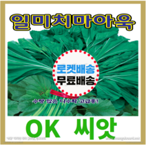 [OK씨앗] [일미치마아욱] 아욱씨앗 종자(오케이씨앗), 20g