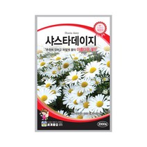 모칸도 (무배)세계 샤스타데이지씨앗(2000립), 1개