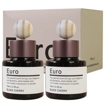 유로 차량용 방향제 디퓨저 70ml x 2 + 차량용 거치대 + 우드볼, 클린솝