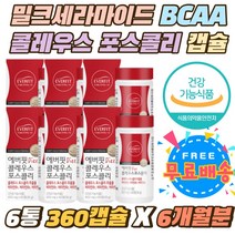 밀크세라마이드 BCAA 다이어트 콜레우스 포스콜리 개별인정형원료 체지방률 체중 감소 제지방량 증가 콜레우스포스콜리 500mg 비타민B군 건강한 체지방감소 비타민B1 B2 B6