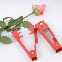 꽃집 매장 꽃꽂이 연습 실습 장미 가시 제거기 준비물, 가시제거기