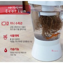 SPR_수경재배 식물화분 에코리움 수중 화병 가습기 수족관 수중 수중재배 꽃_spr, SPR_DAMDDA 에코리움 블랙