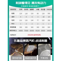 자동창고압세차기 고압세척기건 자동차세차기 대용 Leshan 가전 청소 장비 여러가지 다기능 올인원 기계 에어컨 연기 청소기 고압 고온 스팀, [01] LS2408QXJ 표준
