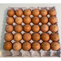 [10판] 신선하고 안전한 농장직송 계란 - 식당 및 베이커리 배달(김포 검단 청라 서울), 특란, 10개