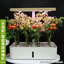방울 토마토 포도 키우기 수경 재배 스마트팜 세트, 수경재배 세트 2