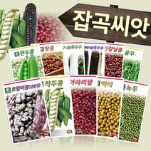 다농 콩 팥 녹두 감자 잡곡류 옥수수 종자 씨앗모음전, AQ06=흰강낭콩씨앗30g!