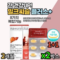 고시생 중고생 수험생 학업 스트레스 간케어 밀크씨슬 밀크시슬 실리마린 식약처 인증 식약청 인정 수험생 직장인 성인 부모님 노인 시니어 할머니 할아버지 선물